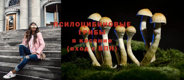 гидропоника Магадан